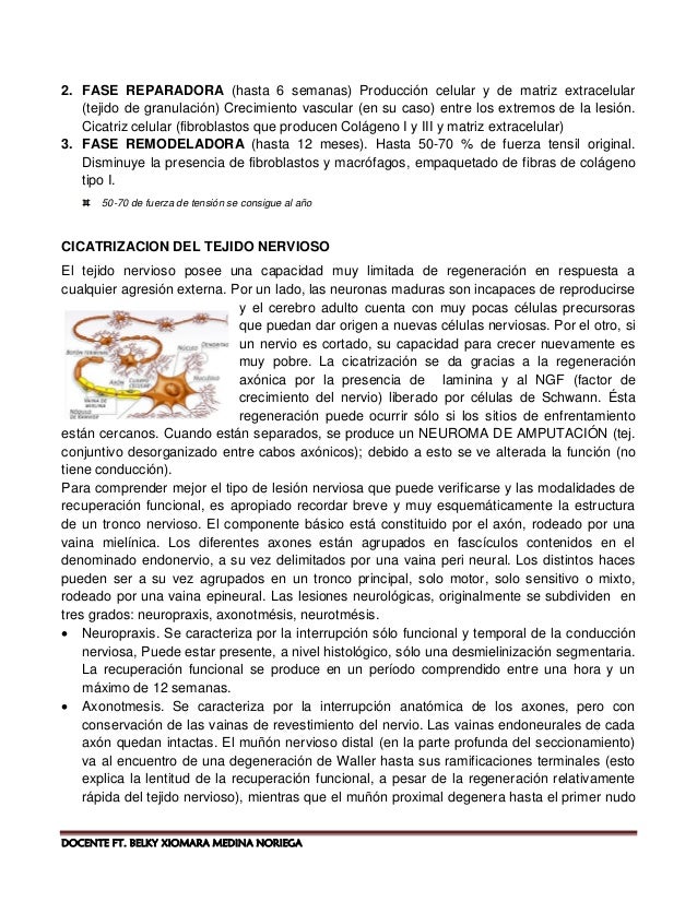 12 docente ft belky xiomara medina noriega pdf