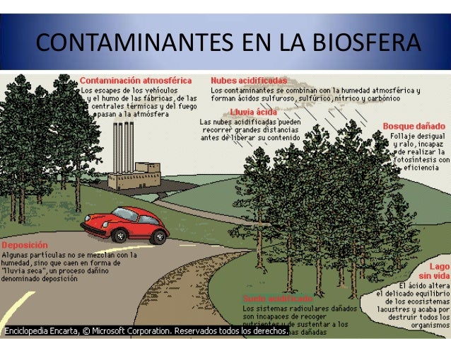 contaminacion de la biosfera pdf