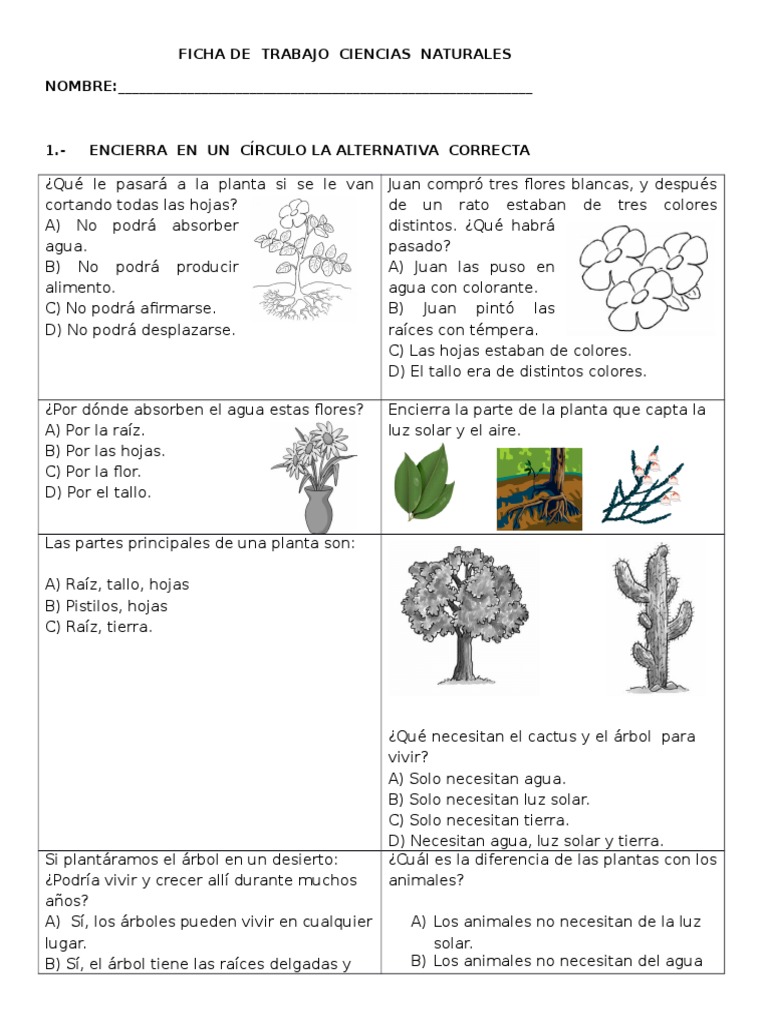 ciencia de la planta comestible pdf