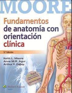 anatomia con orientacion clinica moore pdf 6 edicion