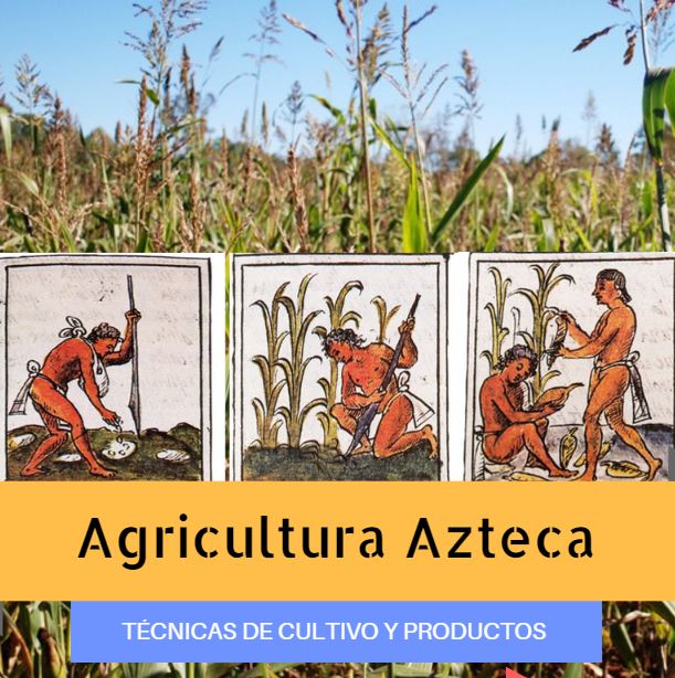 alimentacion de los aztecas pdf