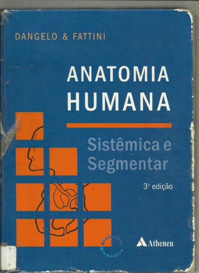 anatomia humana sistêmica e segmentar pdf