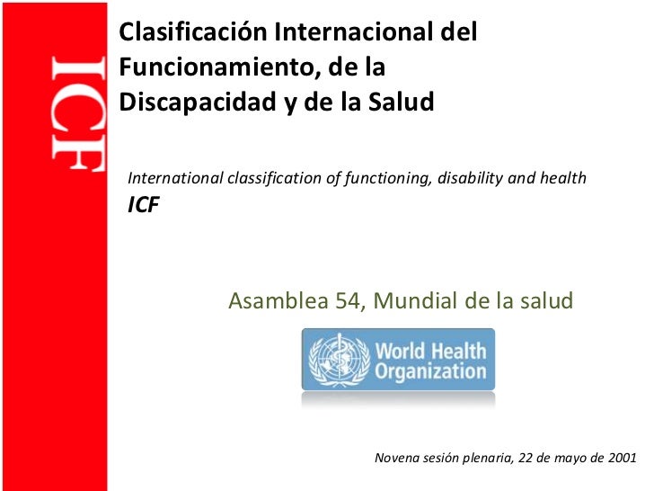 clasificacion de la discapacidad pdf