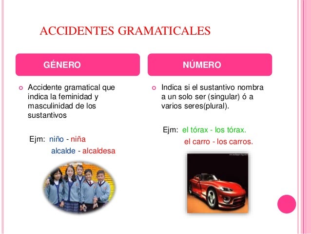 accidentes gramaticales del verbo pdf