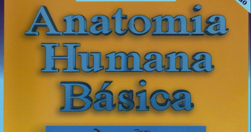 anatomia humana sistêmica e segmentar pdf