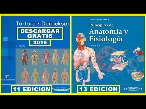anatomia y fisiologia tortora pdf descargar