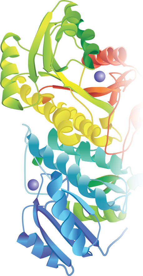 bioquimica las bases moleculares de la vida mckee pdf descargar