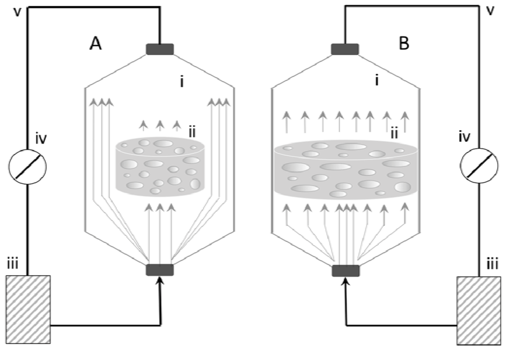bioreactor system design asenjo pdf
