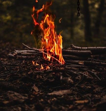 heatilator wood burning fireplace manual