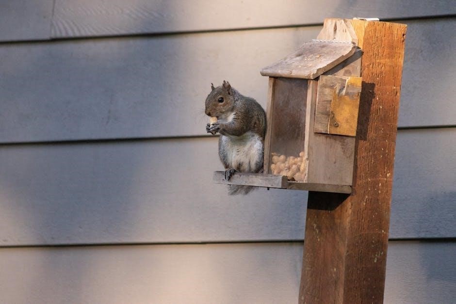 purina en feeding guide