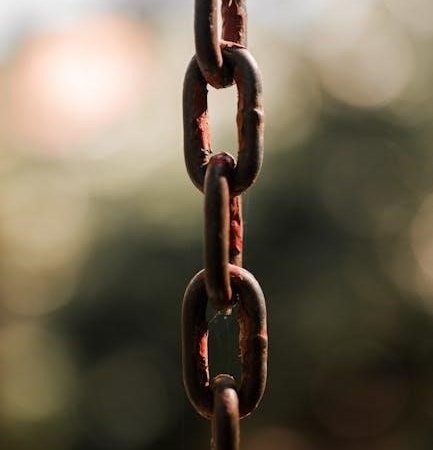chain guides