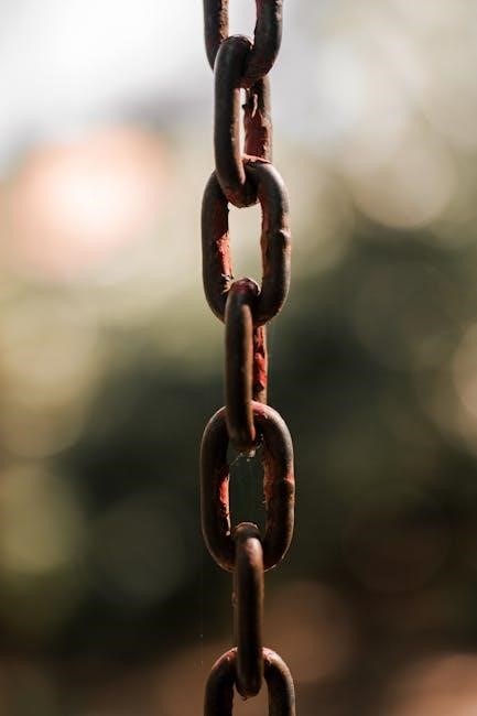 chain guides