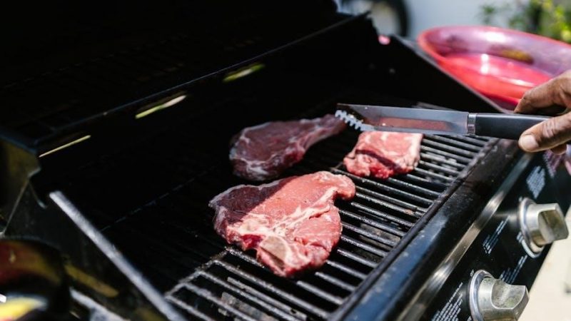 weber grill user manual