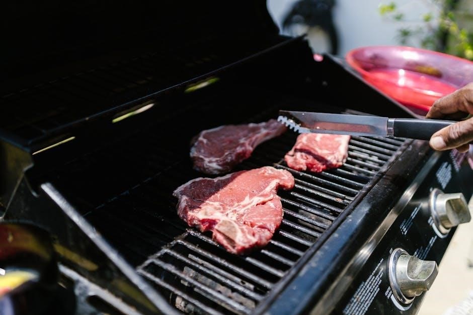 weber grill user manual
