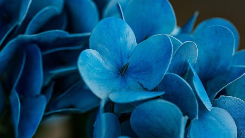 gmc service manuals free download